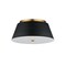 Maxim Lighting Miles 16'' LED Flush Mount, Black/Natural Aged Brass 10719WTBKNAB - alternate 1